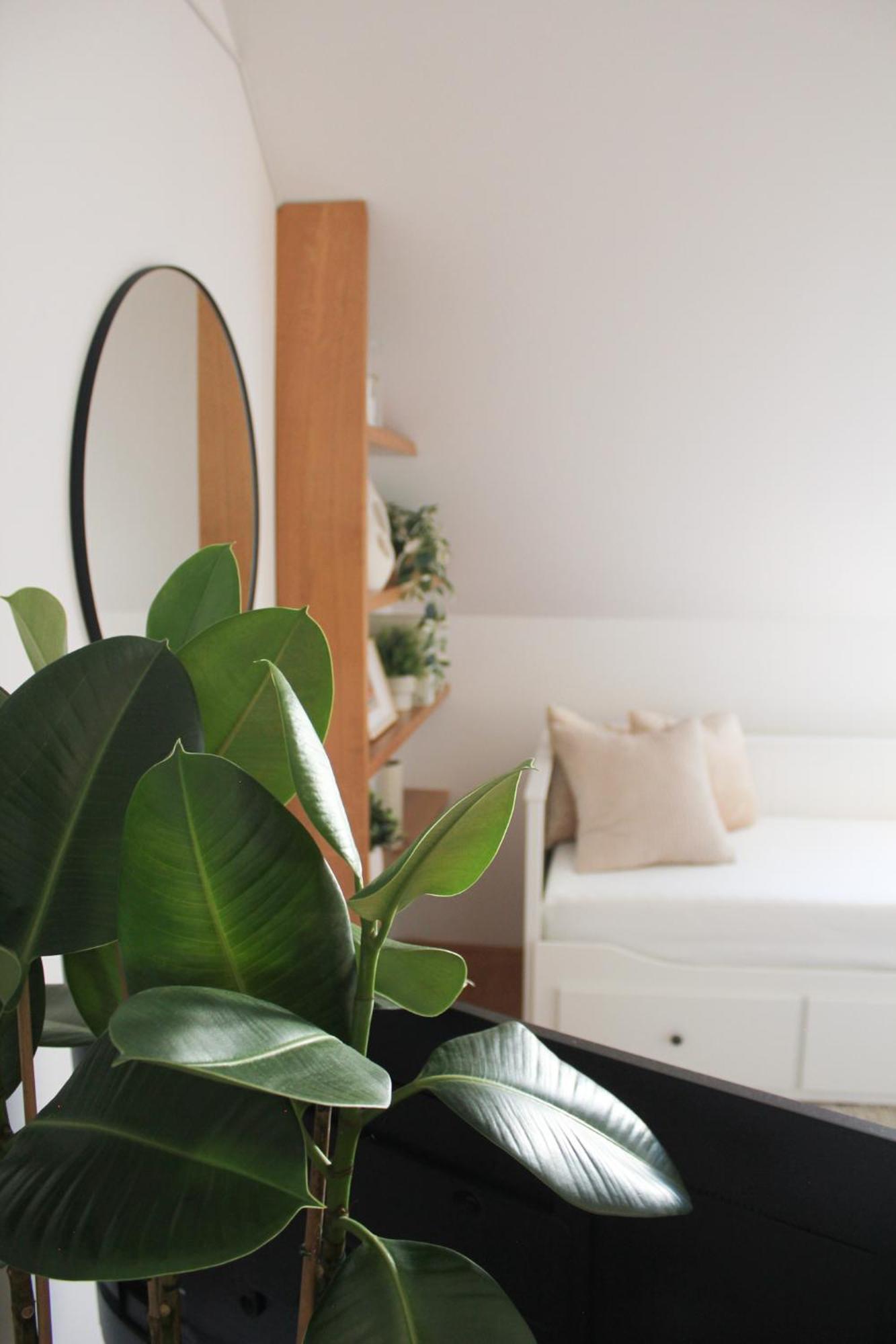 Cozy Urban Spot *